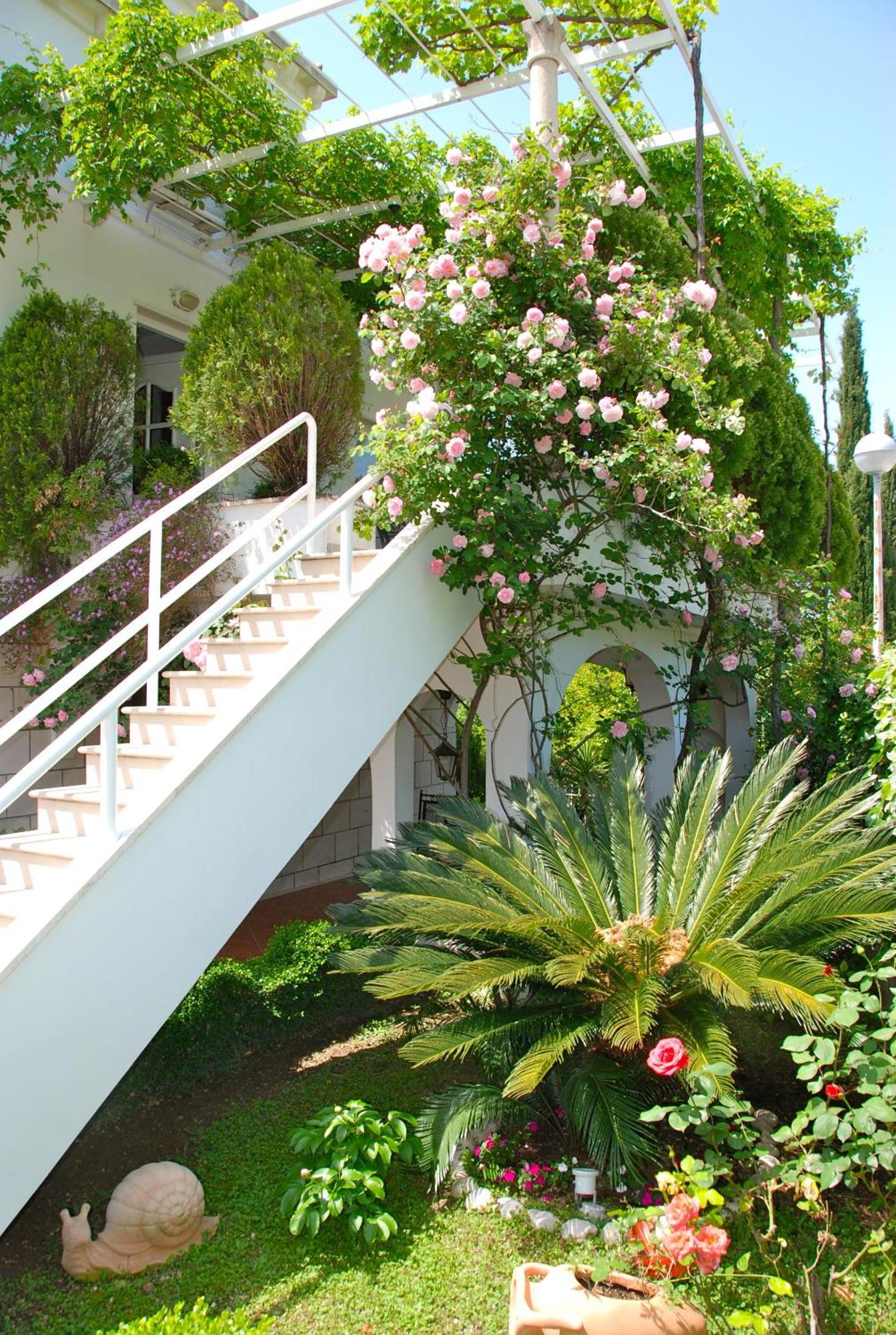 Villa Mediterranea Mlini Exterior photo